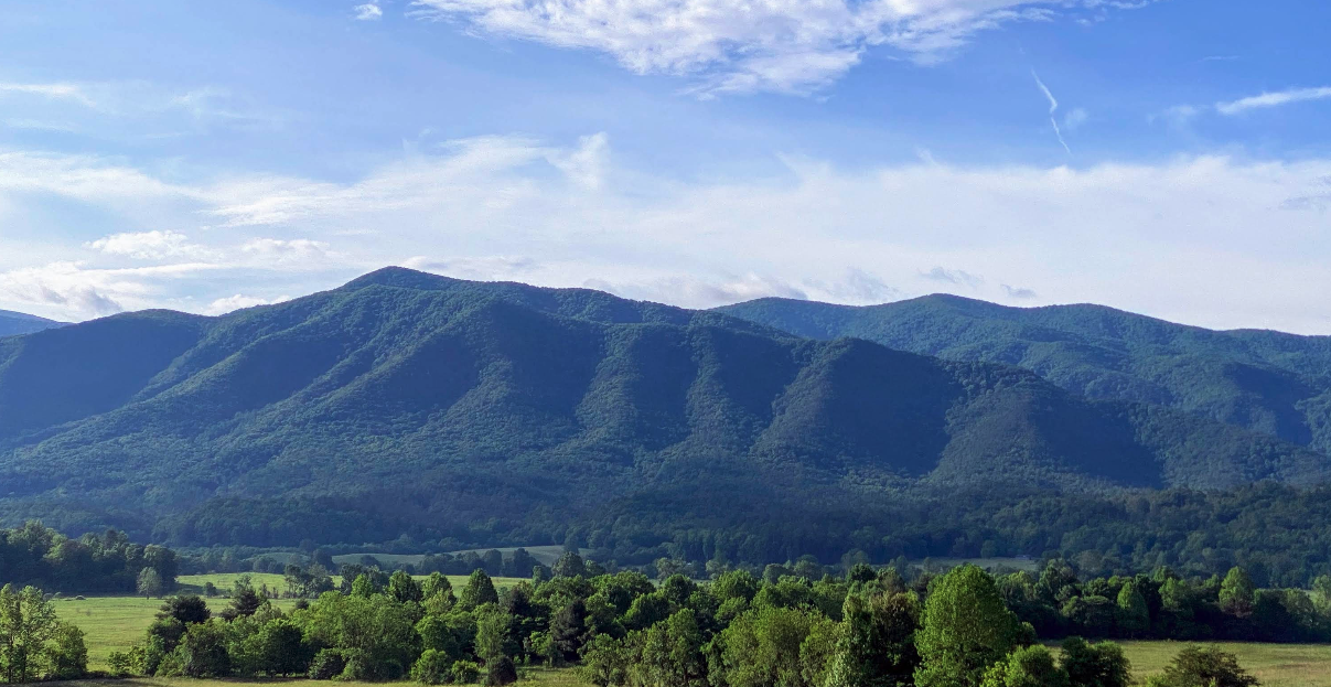 Take the Slow Lane: A Little Cades Cove Escape