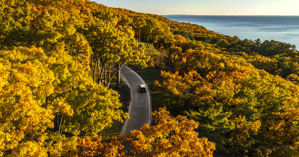 Take the Scenic Way: A River Road Escape Near Oscoda